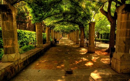 beautiful-alley-bench-nature-spain