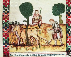 Medieval Manuscript Illumination of a Farmer Teaching His Son to Plow From Alphonse Le Sage's